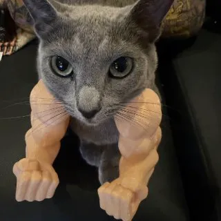 HqNXGUcsNXCt17NFi2HuikRdNgjLJZDErcXQZt9ypump