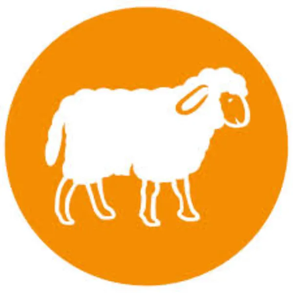 J1L6v2CMpa41ZaCLz9Lw8oebTDtUMCzmr8giQCN3pump