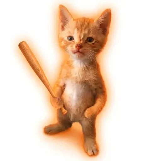 ZMvqDyyp916etj16FvVJf21hRaYyiPHrYZ5jHibbonk