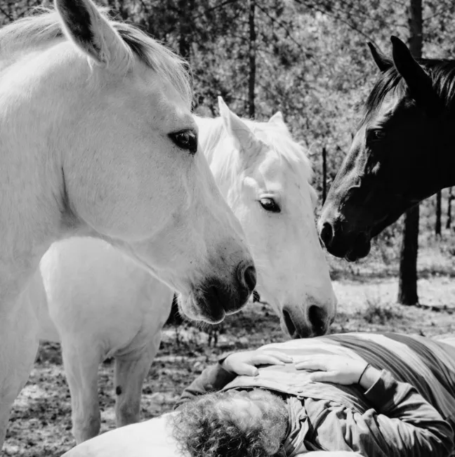 ci2W6krAYsfBHQwbqyYAPQJLmmUe75hao2WggGApump