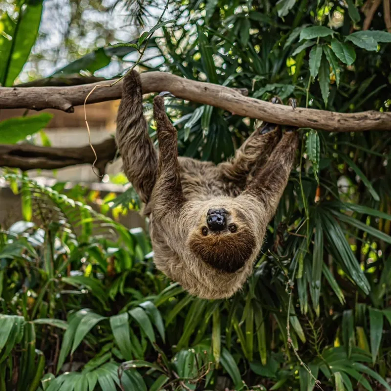 fpMpriXySzp7iJDPKth73bmd6Hb7F7bDMXsF8nnpump