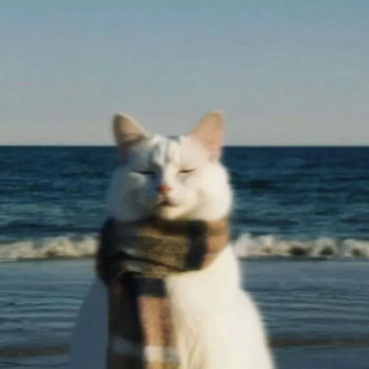 kMKX8hBaj3BTRBbeYix9c16EieBP5dih8DTSSwCpump